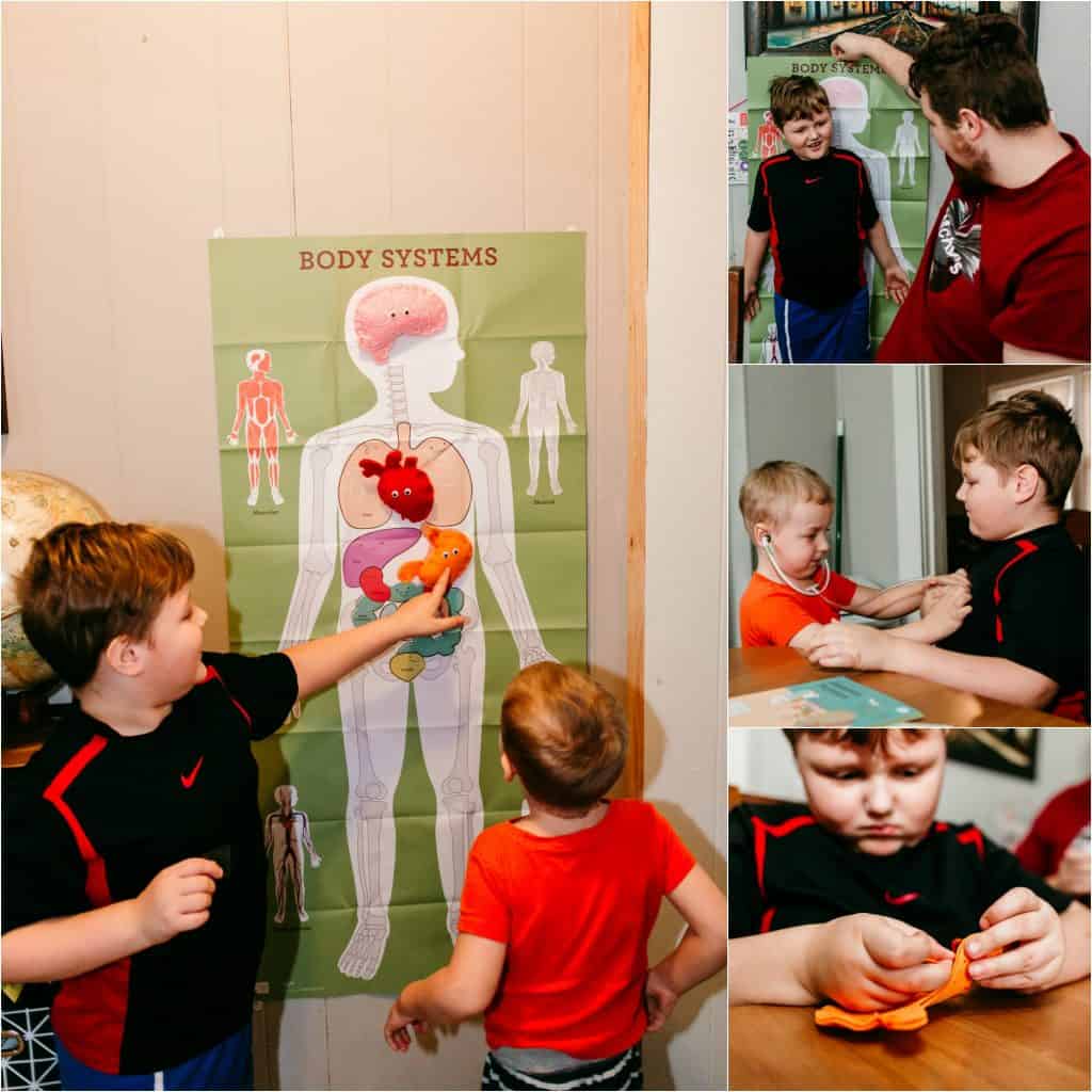 Kids looking at poster of the body systems from kiwi crate subscription box. A review of the kiwi crate subscription box.