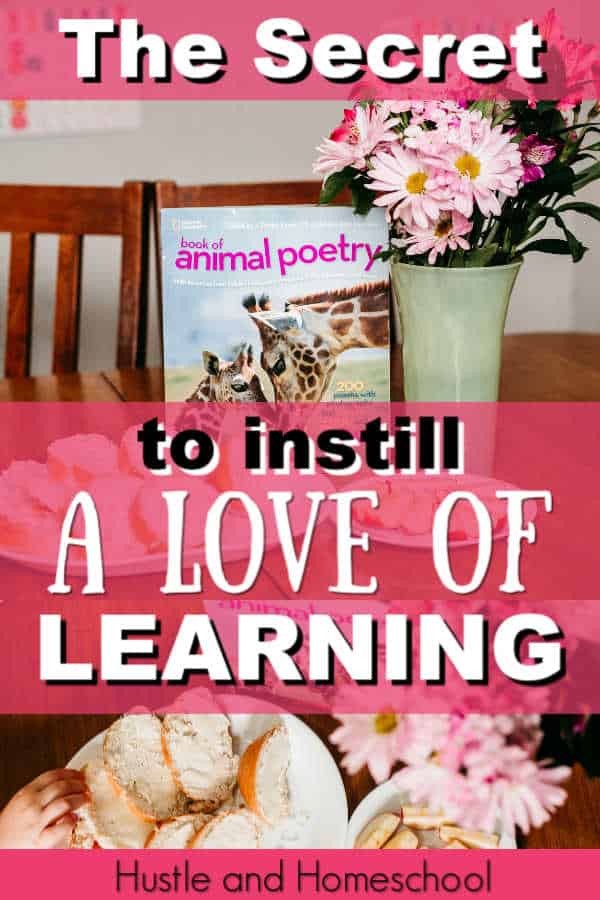 The secret to instilling a love of learning in your homeschool kids. secular homeschool | homeschool curriculum review | brave writer lifestyle | poetry teatime