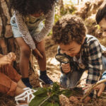 Nature Study: Exploring the Outdoors as a Homeschool Subject