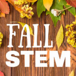 Fall STEM Activities for Kids