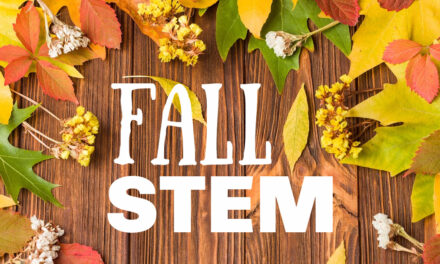 Fall STEM Activities for Kids